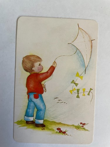 Young boy play kite - windy, day