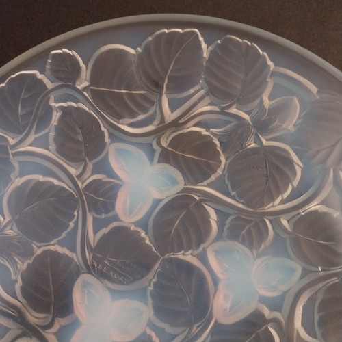 Coupe verre opalescent - en,