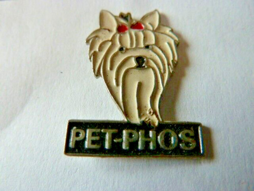 Pin chien yorkshire - ,
