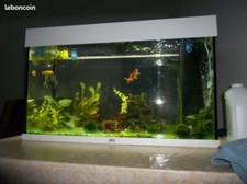 Aquarium Juwel 125 125 litres état neuf