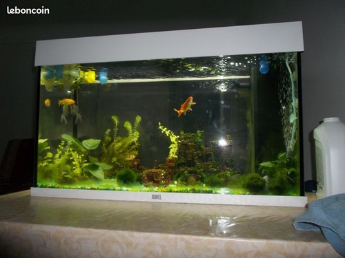 Aquarium juwel 125 litres - juwel,