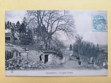 cpa FRANCE 55 - VAUCOULEURS Meuse Le GROS TILLEUL ARBRE TREE BAUM famille RENAUD