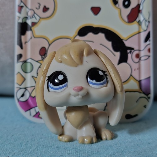 Petshop lapin bélier - lapin,