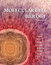 Moléculaire Cellule Biology