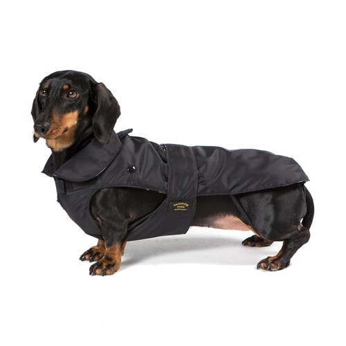 Manteau pour chien - pour,