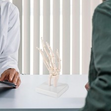  Modèle d'articulation de la main de laboratoire, modèle de squelette de main,