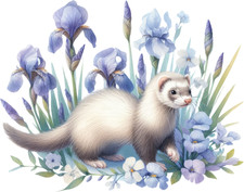 Autocollant de voiture XXL