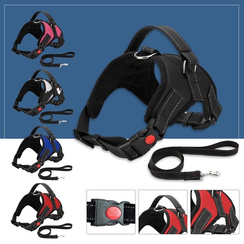 Chien harnais tirer pour - tirer,