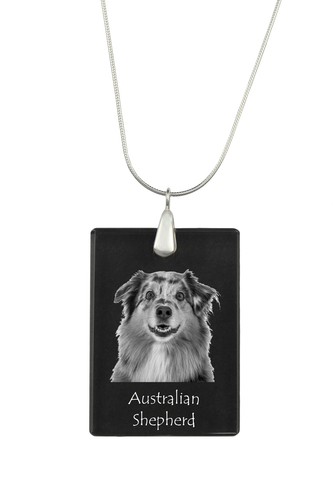 Chien berger australien - chien,