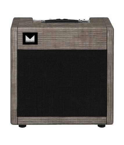 Morgan amplification ac20 - amplification,