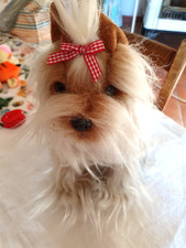 ADORABLE CHIEN (YORKSHIRE ) EN