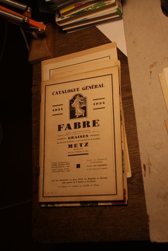 Catalogue plante jardin - catalogue,