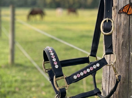 Porte cheval cuir avec - porte-cheval,