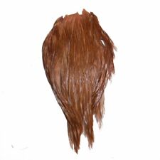 Plume de cou de coq marron