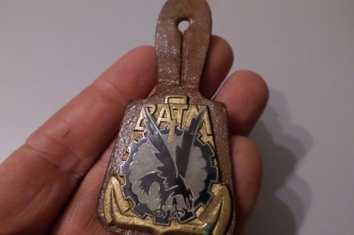 Broche insigne militaire - insigne, 1°