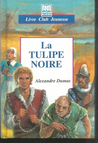 Tulipe noire alexandre - tulipe, noire.
