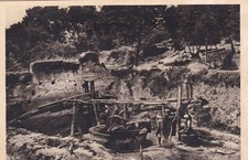 🦬Carte Postale / Postcard /