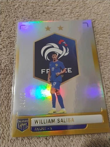 Panini france international - france,