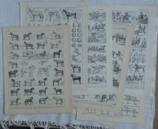 6 gravures anciennes N&B sur