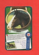 Top Trumps - Cheval et poney -