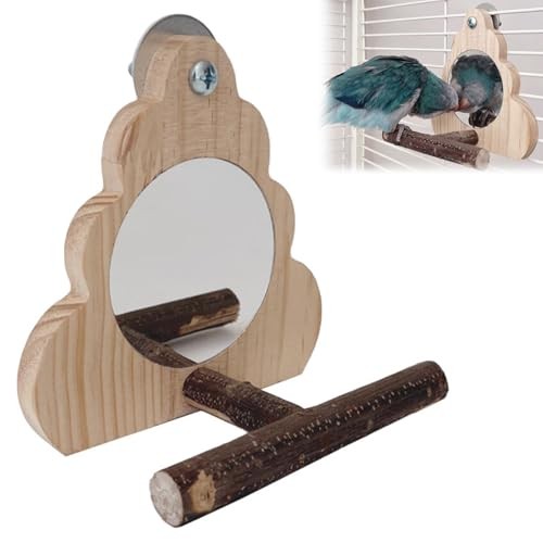 Miroir perroquet - perroquet,,