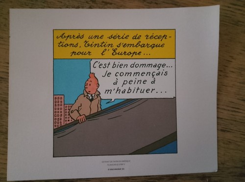 Planche tintin moulinsart - tintin,