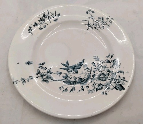 Assiette plate terre fer - terre, de