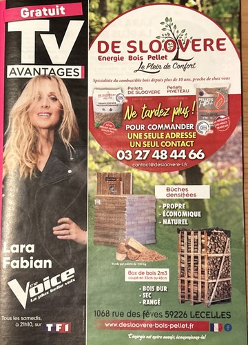 Lara fabian rare - fabian,