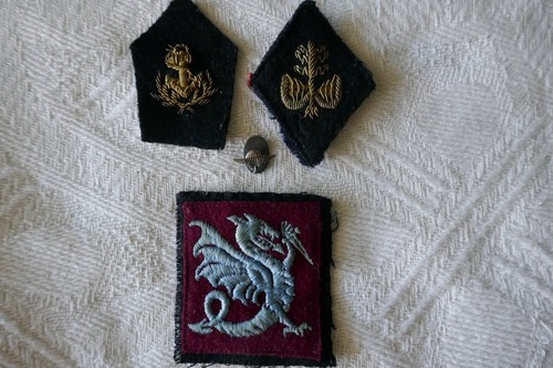 Insignes col officier - officier, état