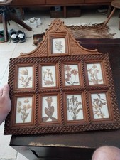 HERBIER ANCIEN ENCADRE CADRE