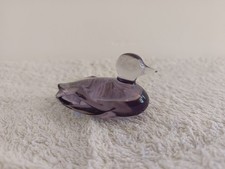 Petit canard violet —