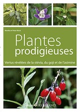 Plantes prodigieuses : Vertus révélées de la stévia du goji et de