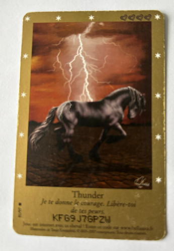 C28 carte bella sara - sara, thunder