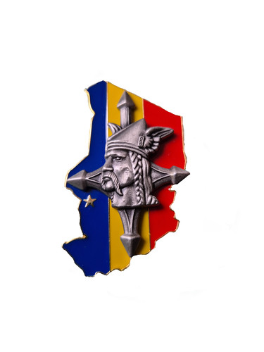 Veritable insigne ri - veritable,