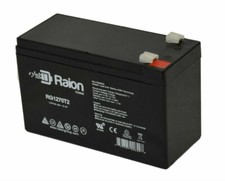 Raion Power 12V 7Ah Injusa