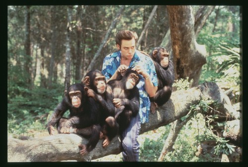 Diapositive ace ventura - ventura, when