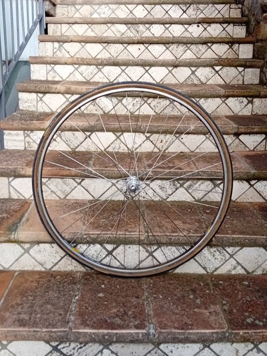 Roue avant campagnolo - roue,