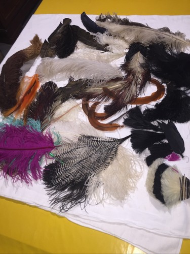 Important lot plumes pour - de,