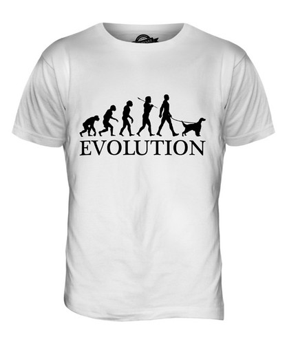 English setter evolution - english,