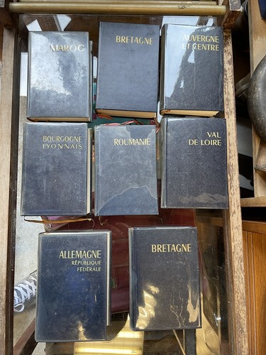 Lot livre guide bleu - 8,
