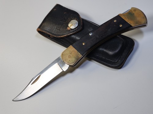 Buck 110 folding hunter - 110, dot