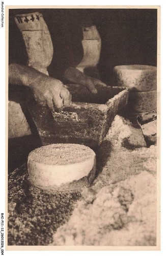 Baip11 1151 roquefort - baip11-1151-12,