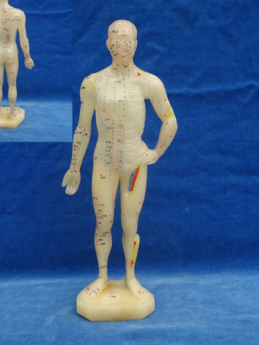 Mannequin acupuncture - mannequin, d'acupuncture