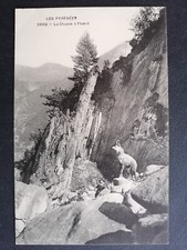 cpa Les PYRÉNÉES La CHASSE