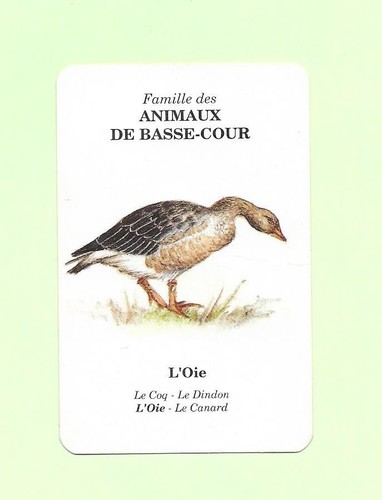 Carte elf antar - animaux, de