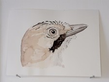 Geai des chênes AQUARELLE ORIGINALE Portrait d'oiseau Jardin Home Decor Peinture