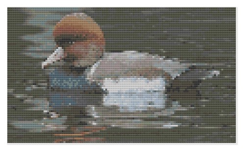 Canard sur eau kit de - l'eau,