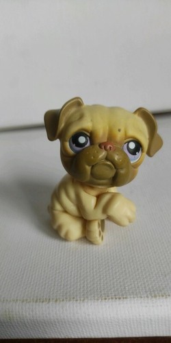 Little petshop lps - little,