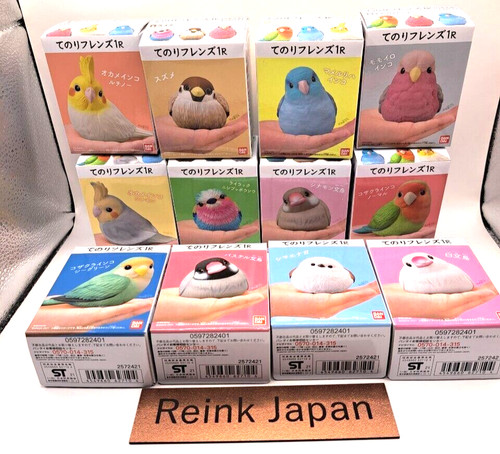 Tenori friends little small - friends, 1r