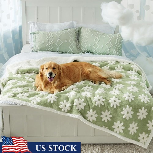 Waterproof pet blanket - waterproof, soft